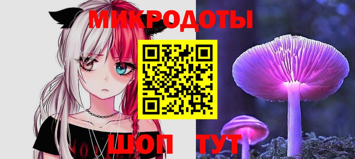 Псилоцибиновые грибы Cubensis Карпинск