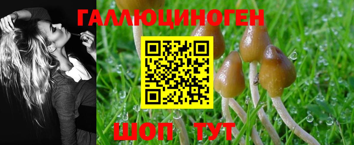 как найти закладки  Галлюциногенные грибы MAGIC MUSHROOMS  Вход с VPN  Карпинск  Галлюциногенные грибы Magic Shrooms 